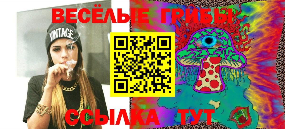 Псилоцибиновые грибы мухоморы Каспийск