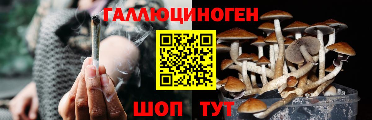 Псилоцибиновые грибы Cubensis  Вход с VPN  Каспийск  Галлюциногенные грибы Cubensis 